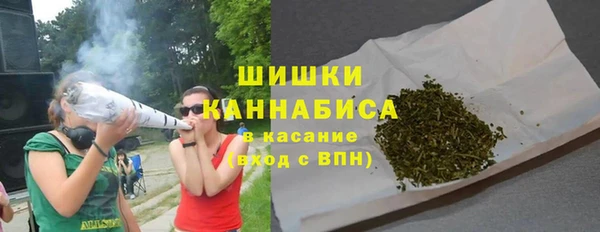 крисы Краснослободск