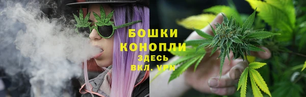 крисы Краснослободск
