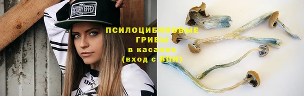 прущая мука Краснотурьинск