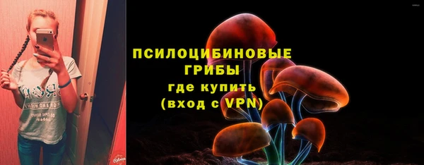 apvp Кулебаки
