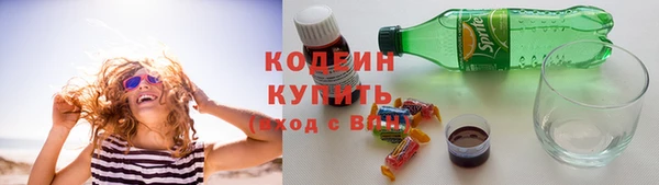 крисы Краснослободск