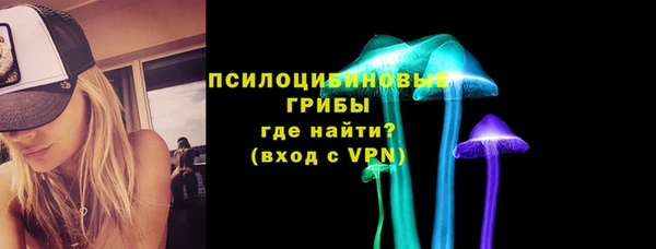 крисы Краснослободск