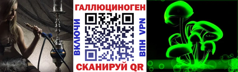 Псилоцибиновые грибы Cubensis  Купить  Вилючинск 