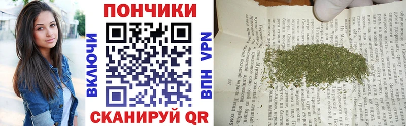 Купить закладки  Вилючинск  МАРИХУАНА ГИДРОПОН 